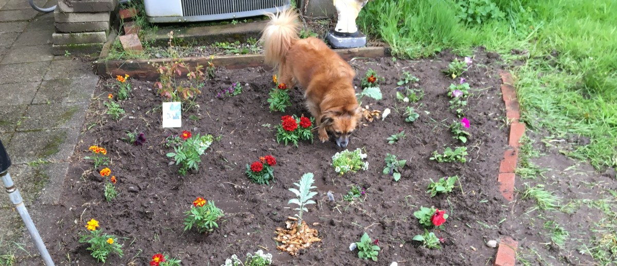 Peace and Quiet,&nbsp;Maybe.